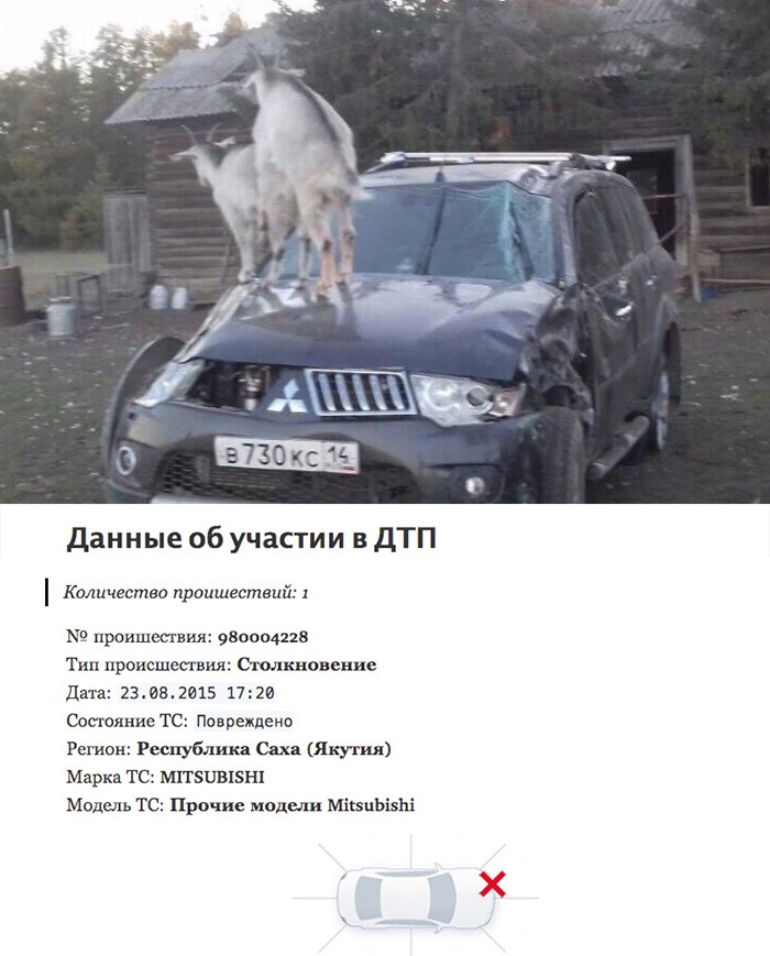 данныеодтп.jpg