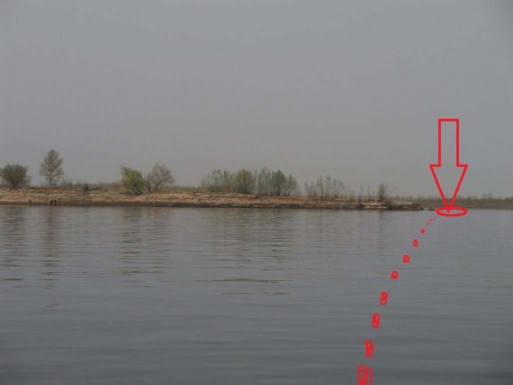 66.jpg