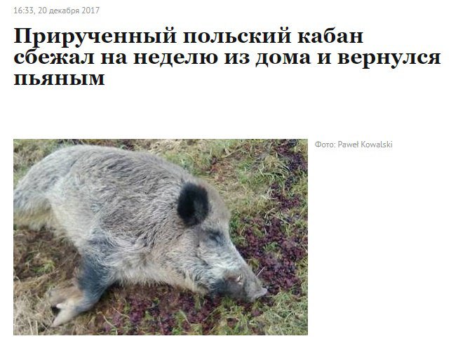 DRgqLyGXUAELEpF.jpg