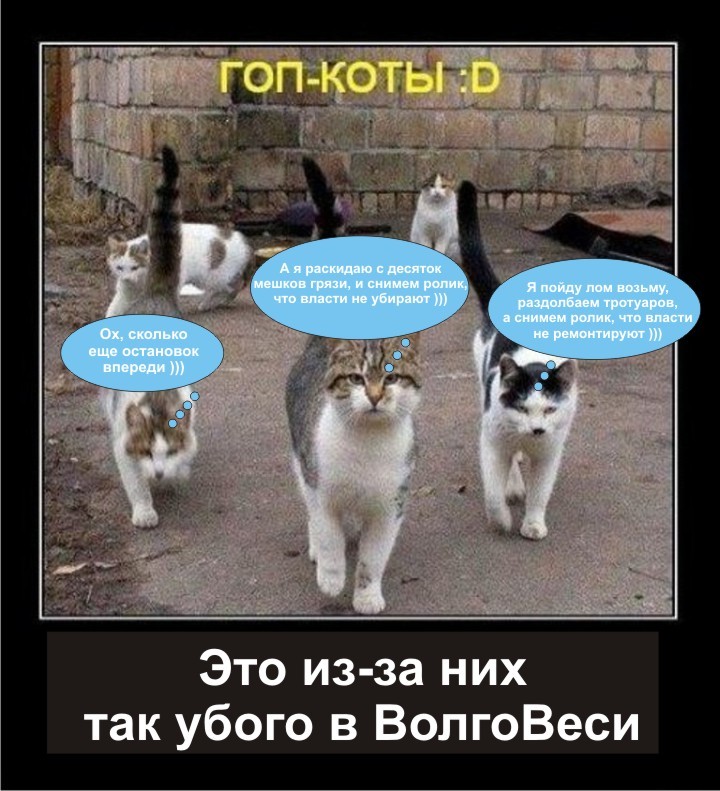о.jpg