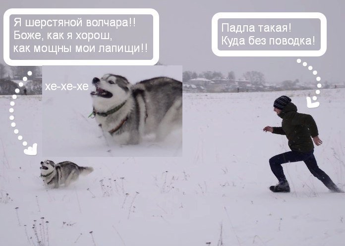 DWaijFuW4AAbQ4p.jpg