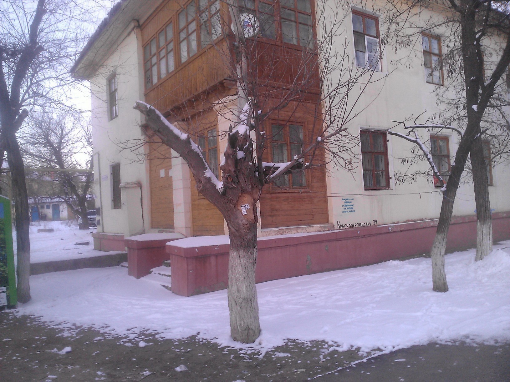 с улицы.jpg