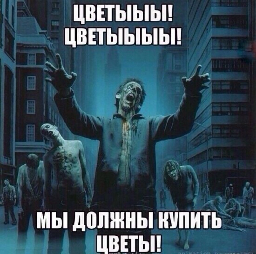 8a34940a16fd170e10bb090f1aad383a_XL.jpg