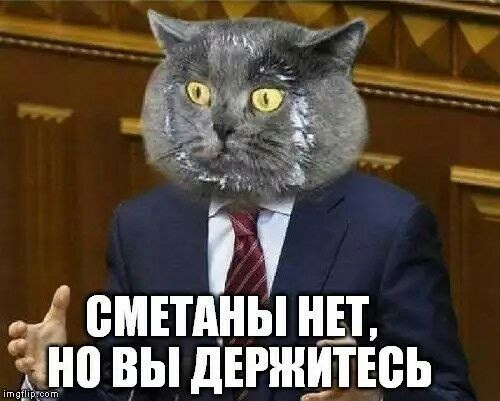 0vonFQAUTI8.jpg