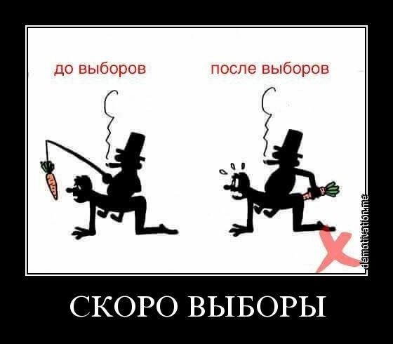 573e8f50c5f7a.jpg