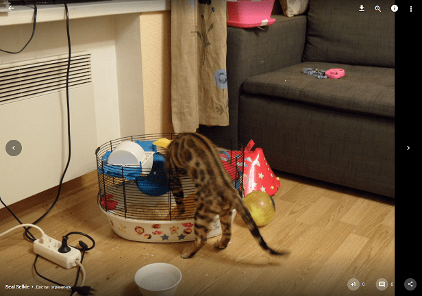 Альбом – Google+_20180319200203.png