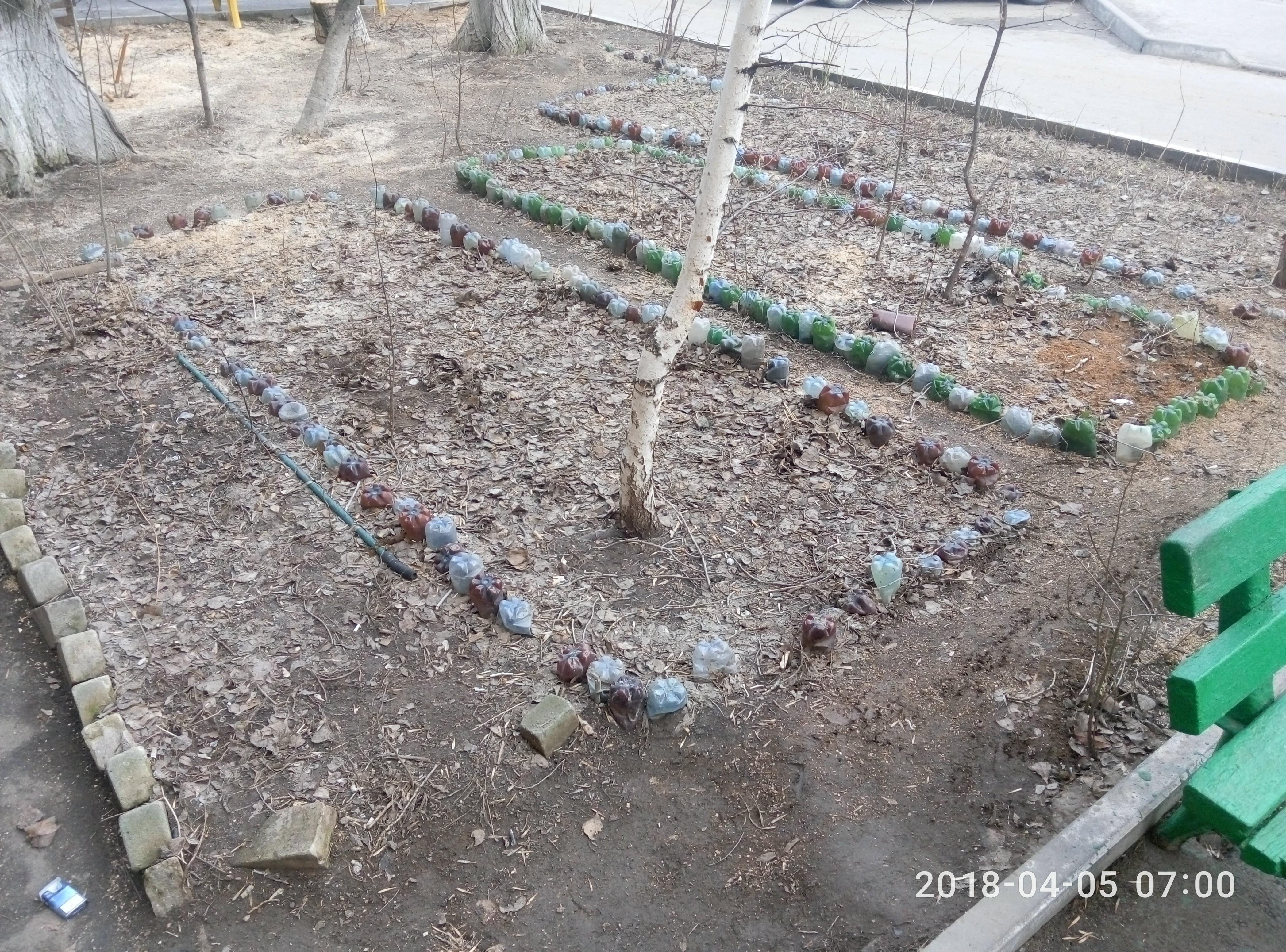 2018-04-05 07-00-06.JPG
