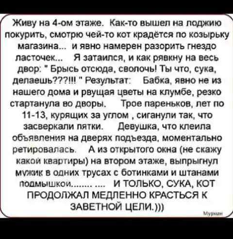FB_IMG_1532116673299.jpg