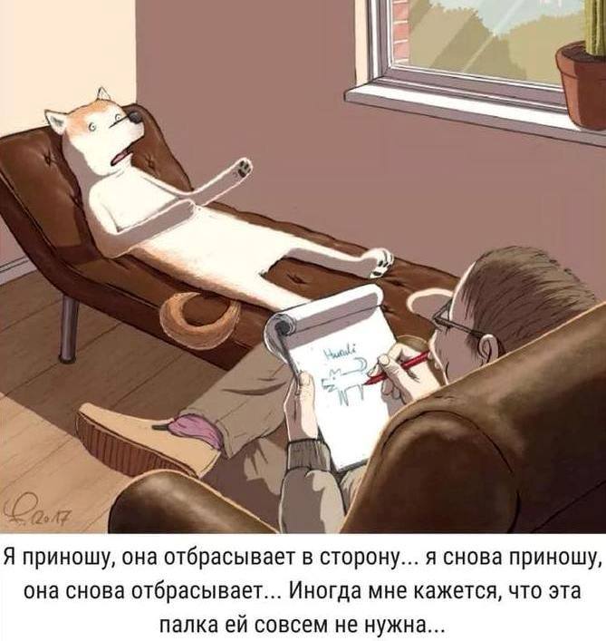 1532072611-0a1291229d5debef207ba291736bd0af.jpeg