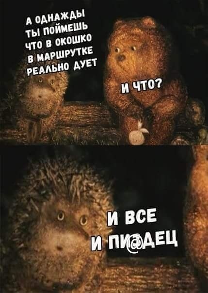 FB_IMG_1535922177155__01.jpg