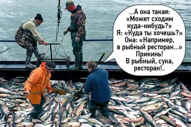 FB_IMG_1537046176517.jpg
