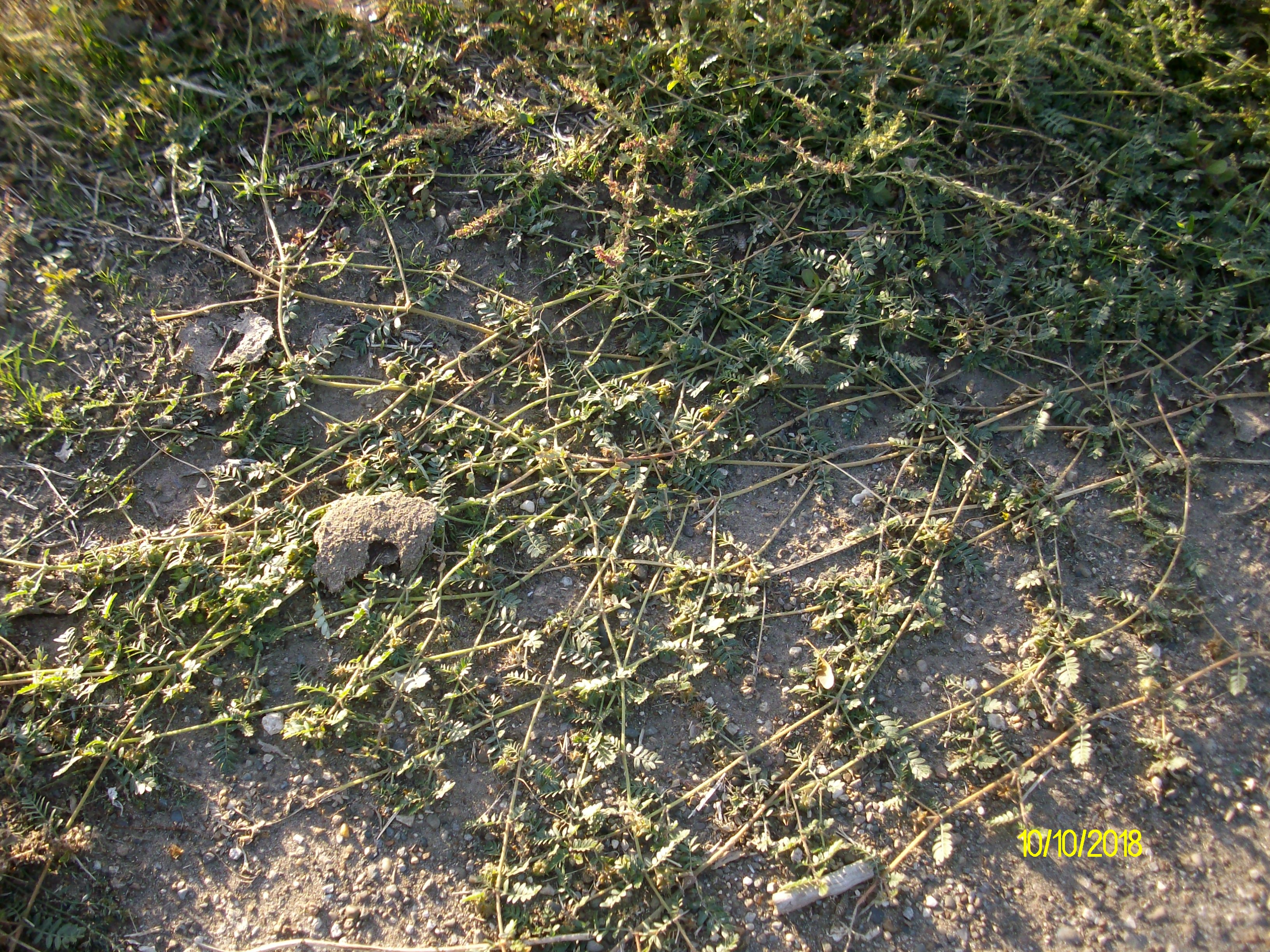 IMGP7744.JPG