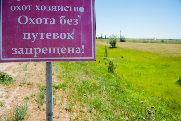 61336-1541181830.jpg