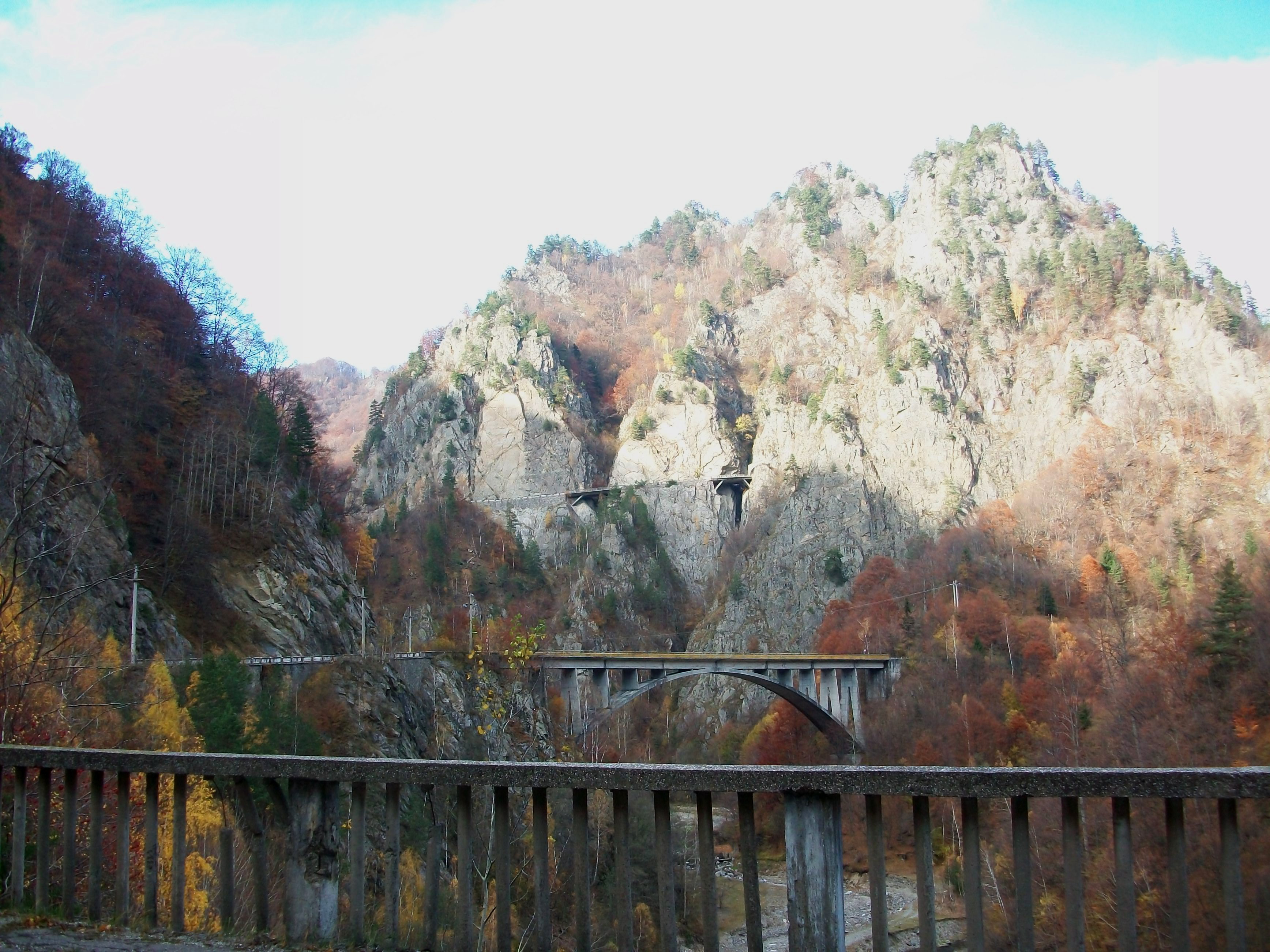 100_2889.JPG