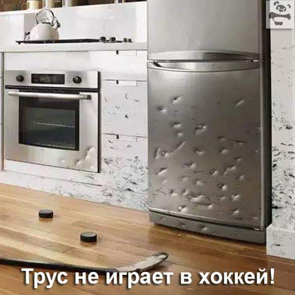 FB_IMG_1547546527530.jpg