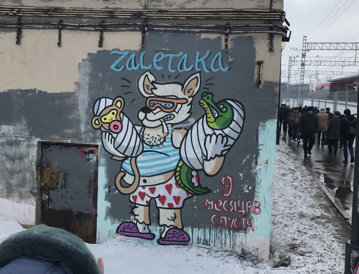 12759494.jpg