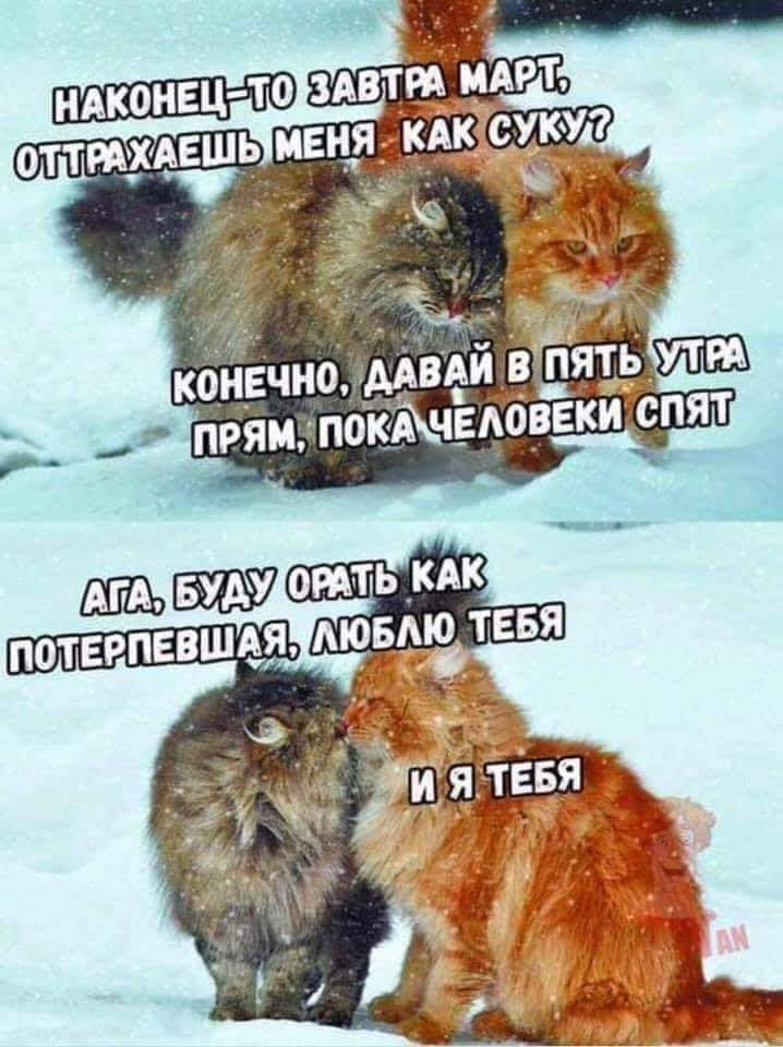 FB_IMG_1551535862356.jpg