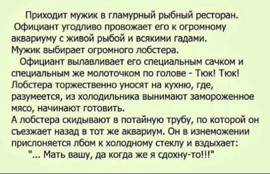 FB_IMG_1551724285741.jpg