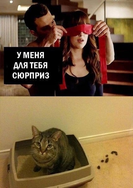 1553442090_korzik_net_1553415050_podborka_kartinok_06.jpg