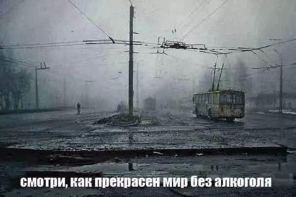 IMG-4266a75845a77c9f3ee835779999f913-V.jpg