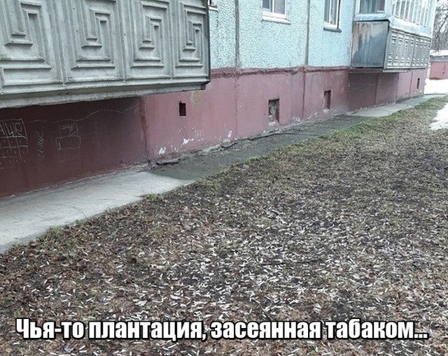 1554998643_korzik_net_prieo-1.jpg