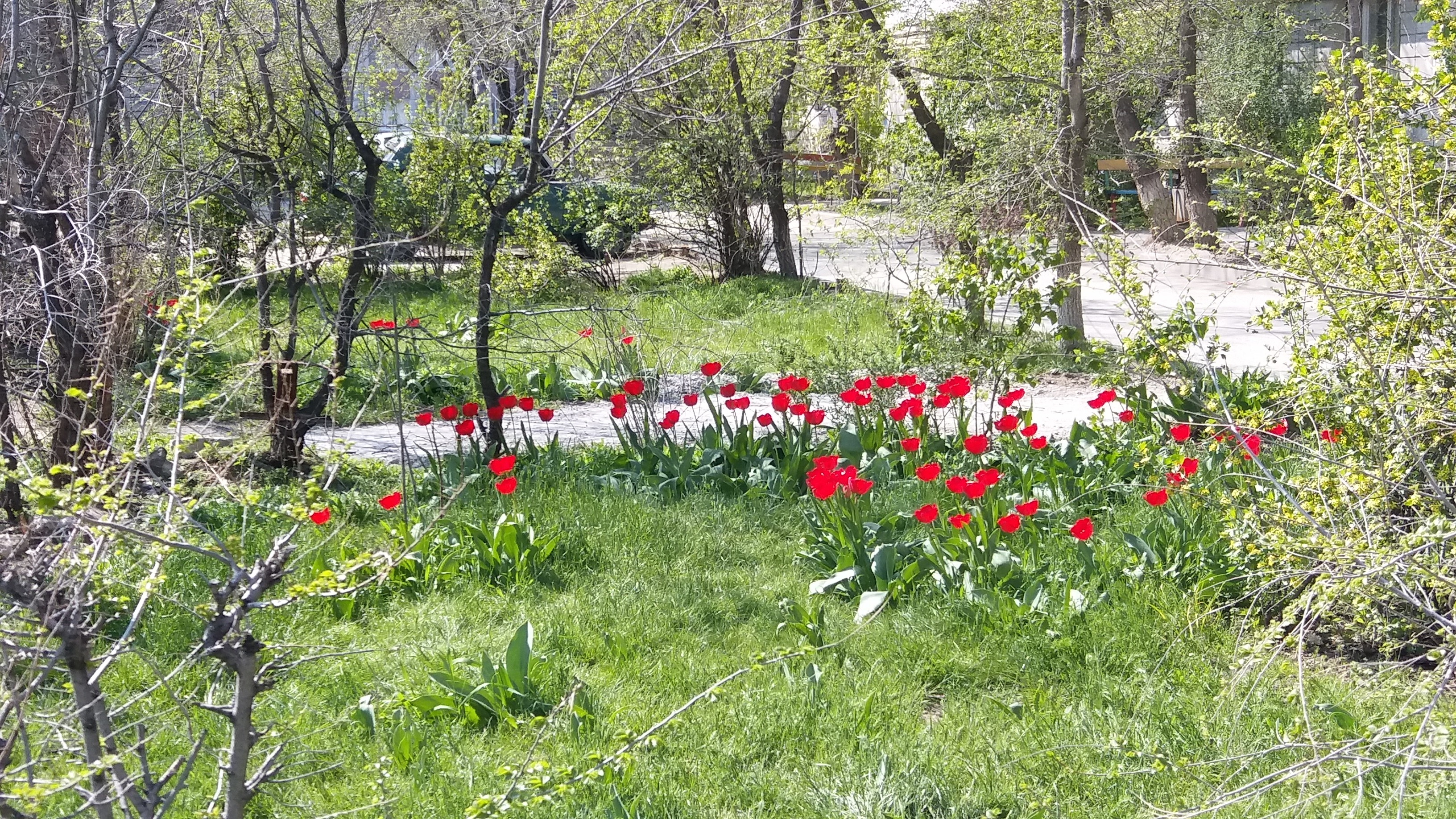 20190424_153007.jpg