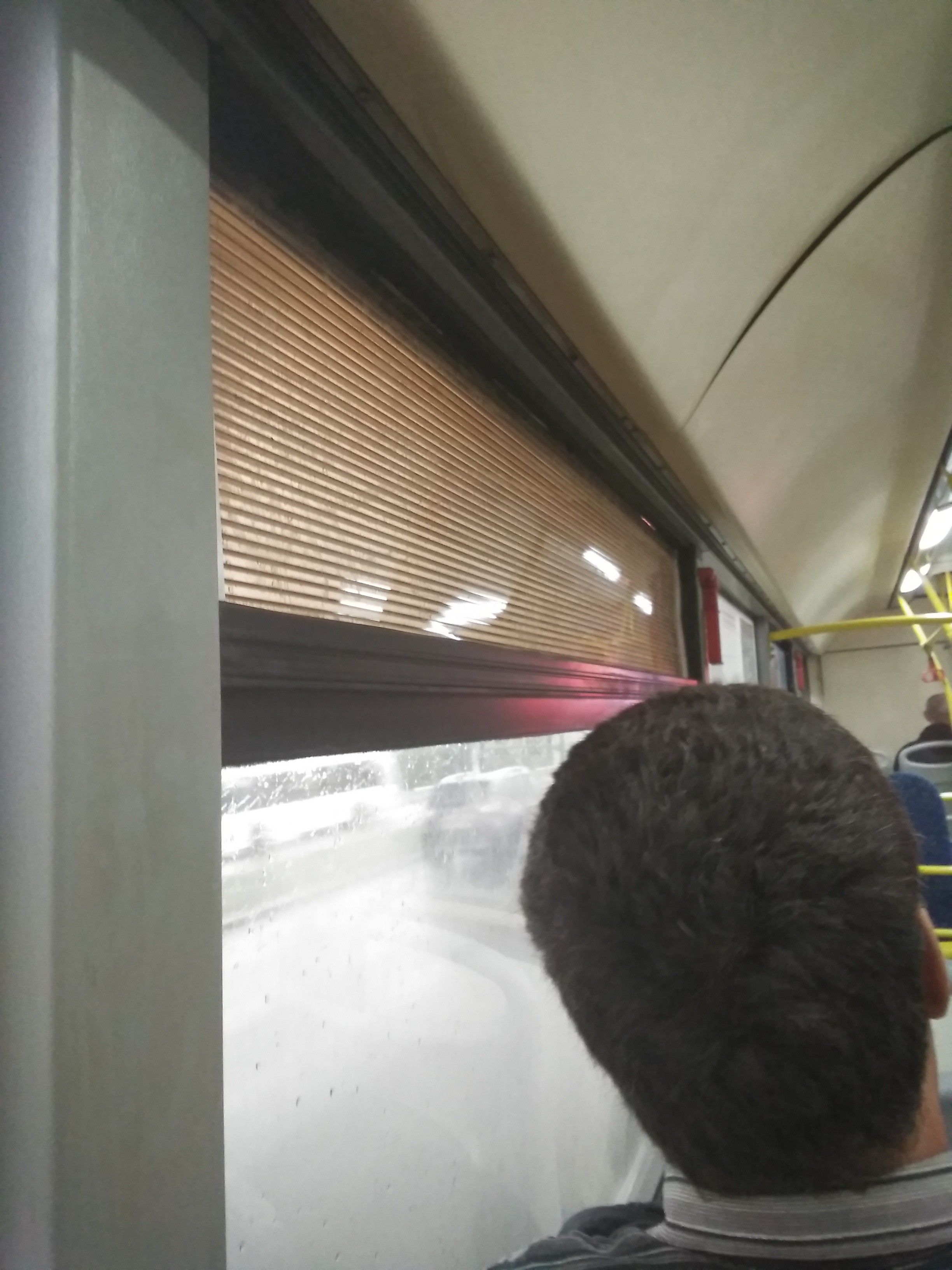 JPEG_20190503_065432_1515517214628497990.jpg