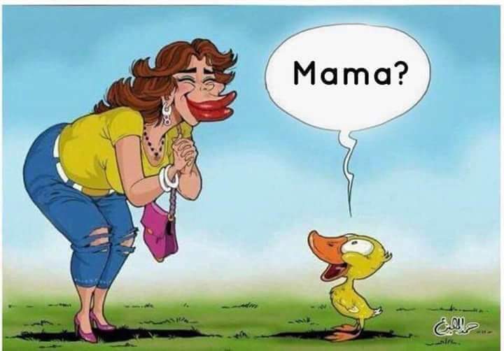 FB_IMG_1558196288758.jpg