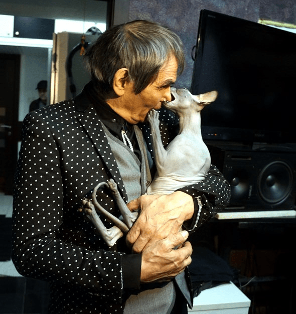 кот алибасова.png
