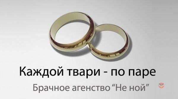 IMG_20190708_111732.jpg