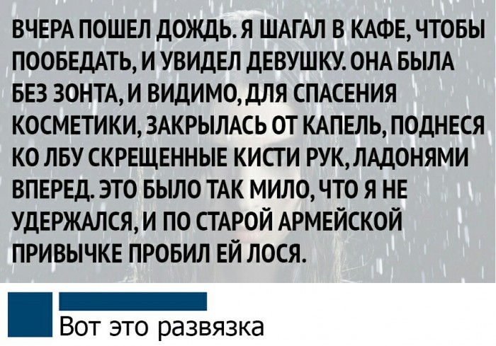 13234057.jpg