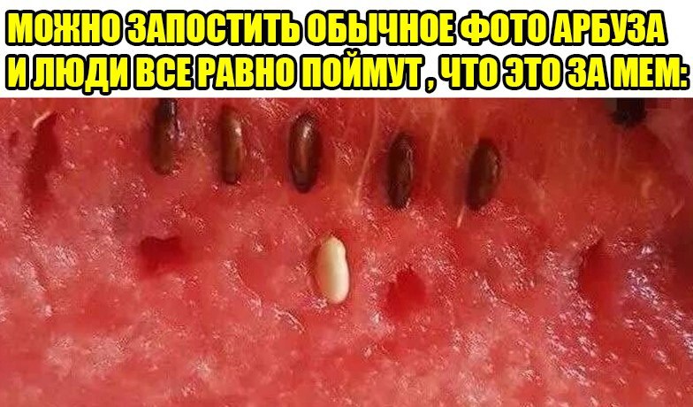 IMG_20190713_125329_045.jpg