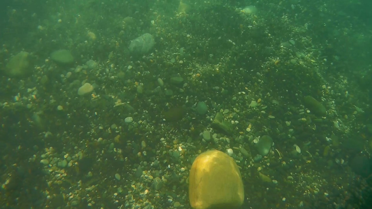 2018_0103_031813_018.MP4_snapshot_00.06.jpg