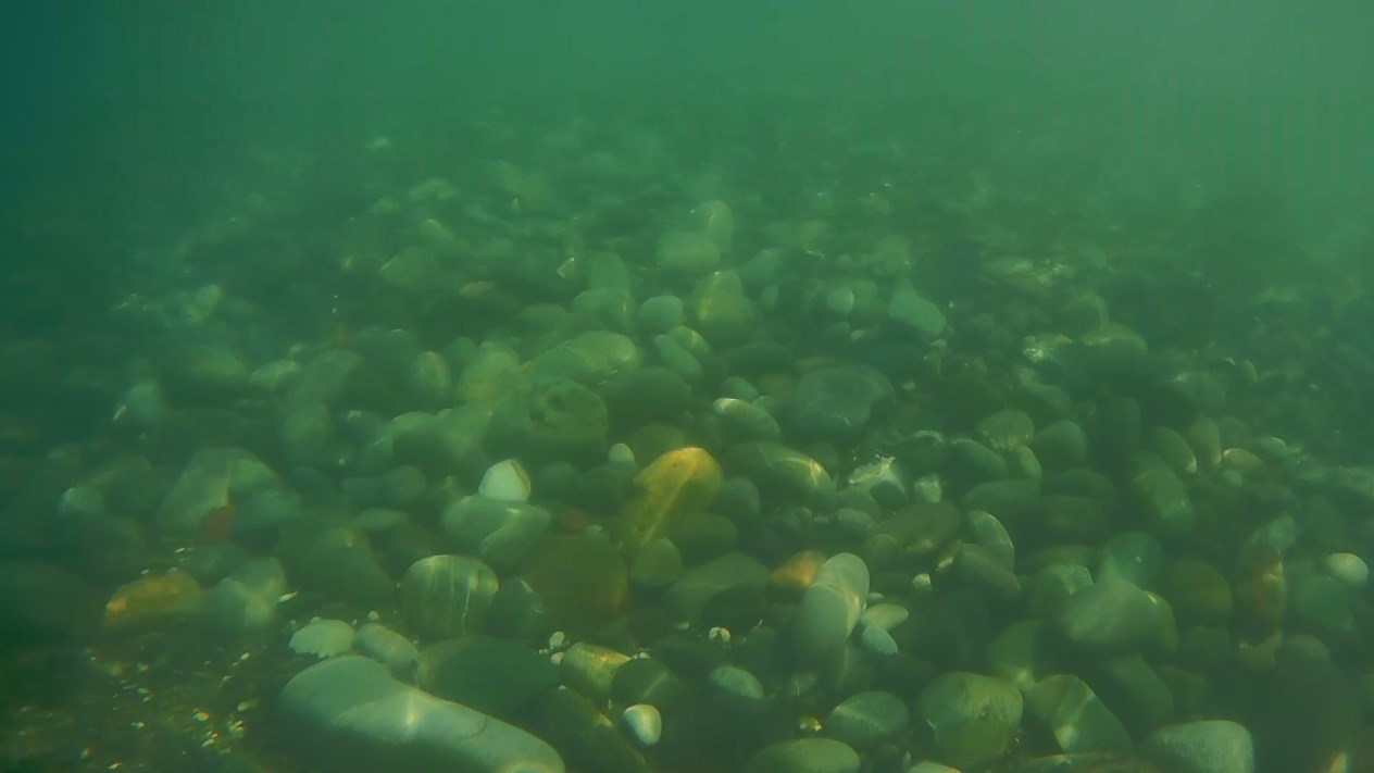 2018_0103_031813_018.MP4_snapshot_00.24.jpg