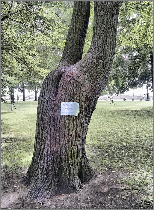 памятник парашютистке.jpg