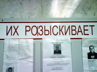 17513_320.jpg