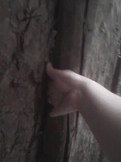 IMG1227A.jpg