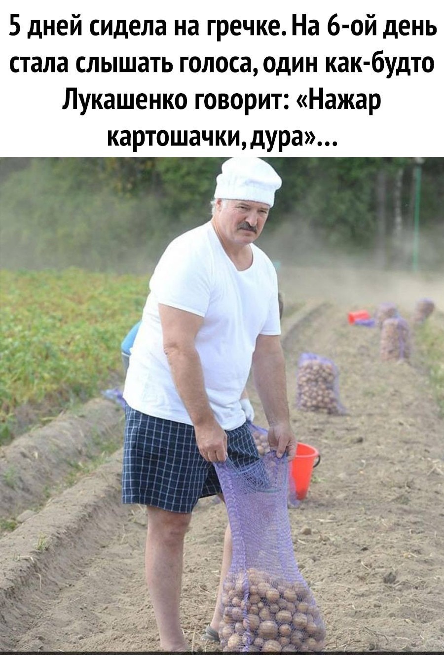 d0cegEoFRVE.jpg