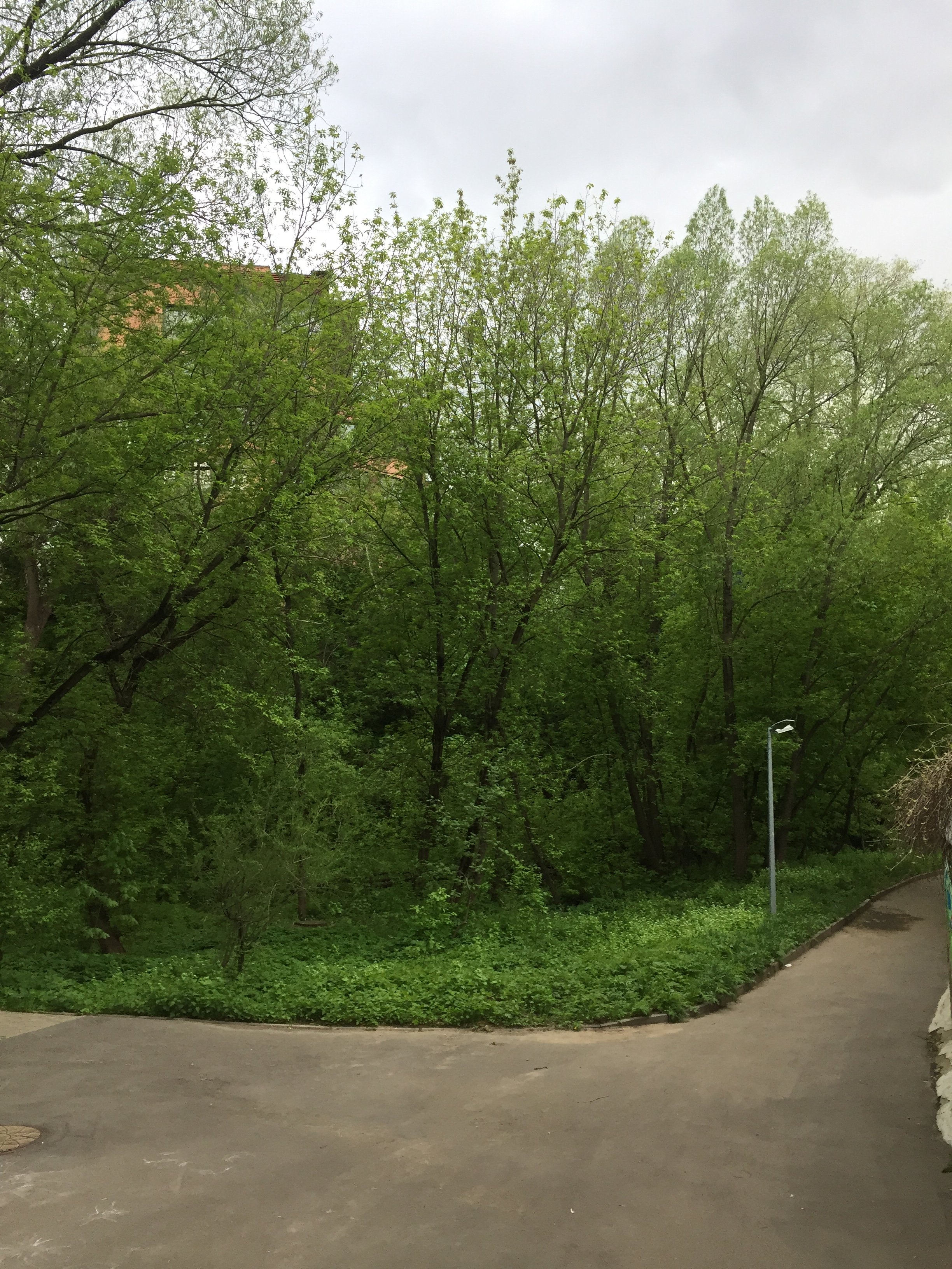 C5278D03-A15B-4D99-BA67-B3D2F1158C66.jpeg