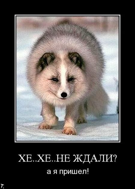 10803161608066328.jpg
