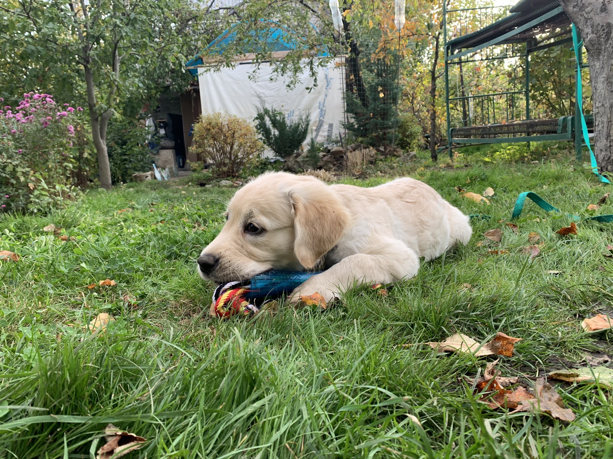 E7142332-2401-4E08-B08C-4F19609C458C.jpeg