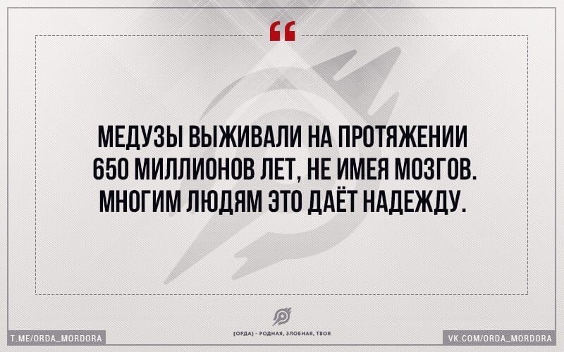 медузы.jpg