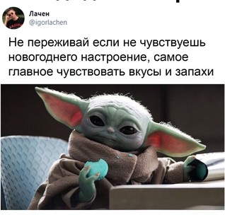 08nmVvJ7d0o.jpg