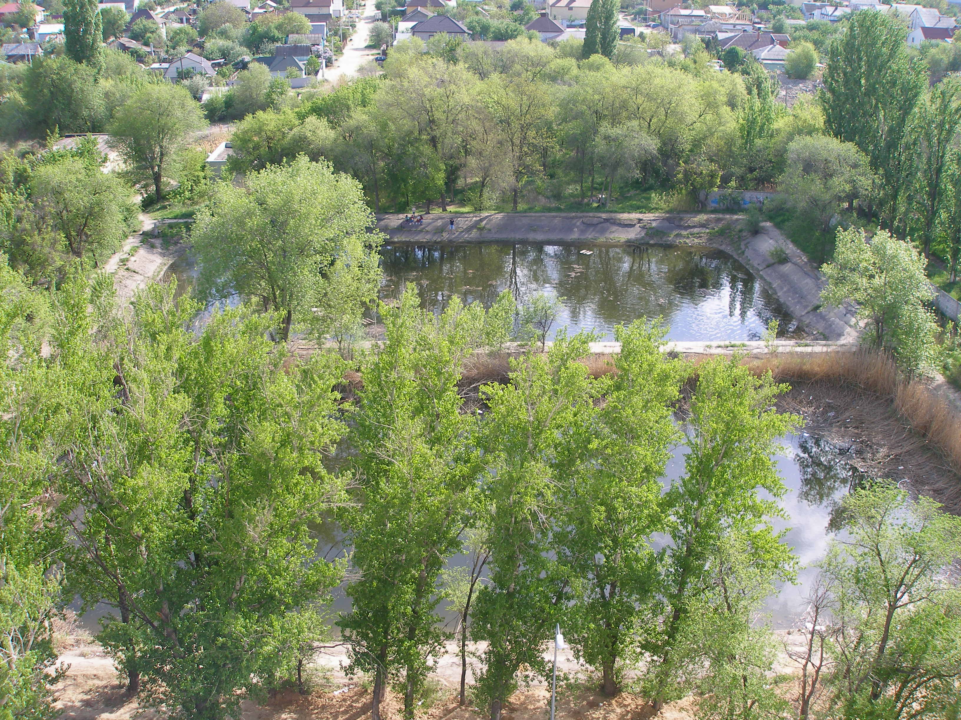 P1010058.JPG