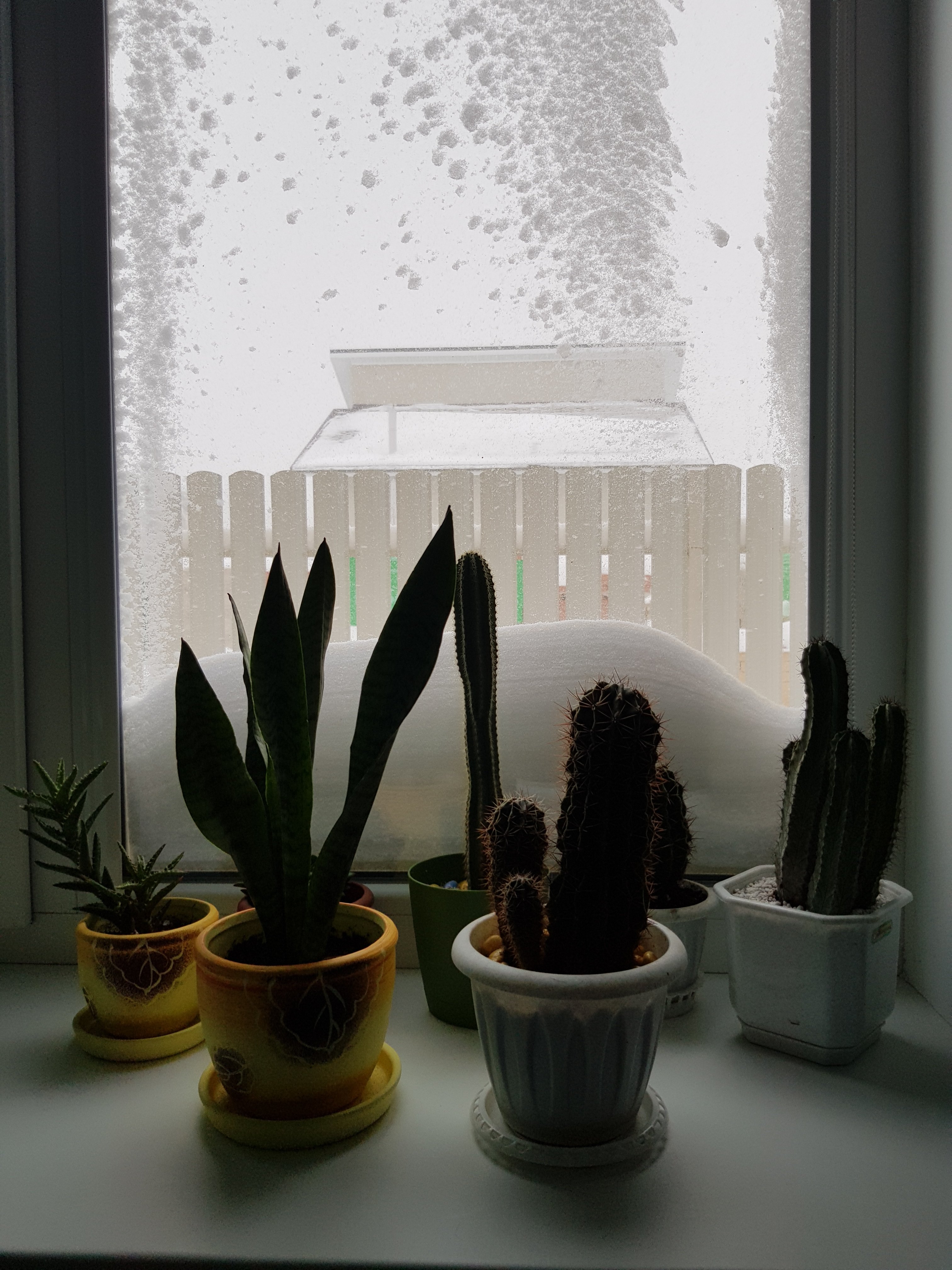 20210117_103938.jpg