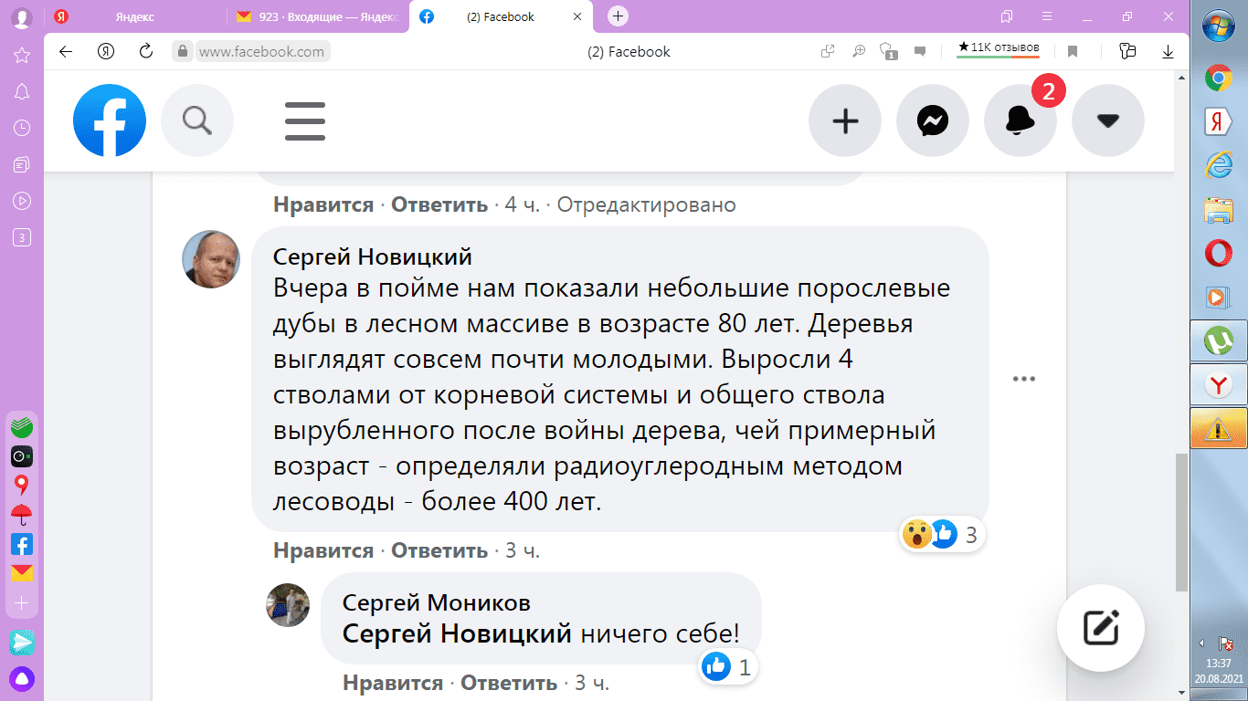дубы.png