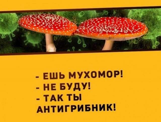 16204178.jpg
