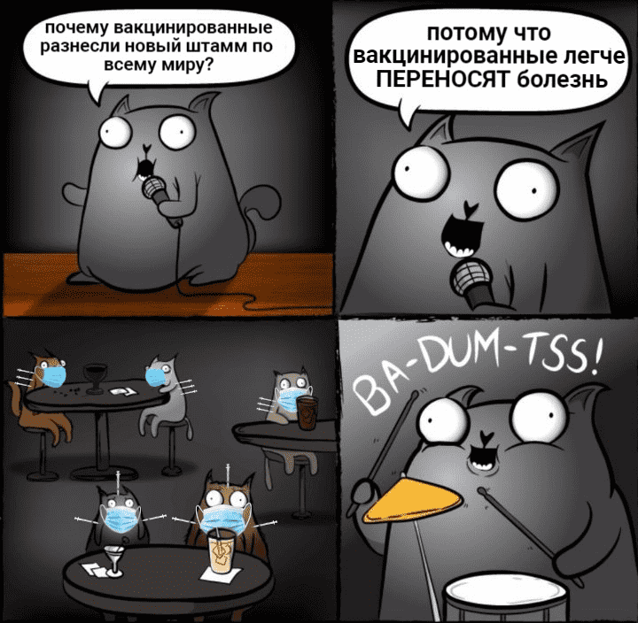 cat1s.png