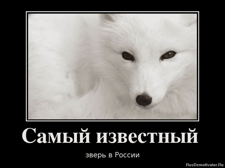 1337015225_36136757_samyij-izvestnyij-.png