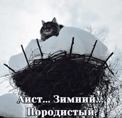 upload_2022-2-17_11-2-54.png